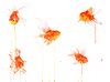 Goldfish