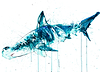 Hammerhead