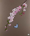 Cherry Blossom and Butterfly