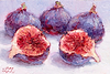 Figs VI