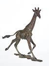 Giraffe Male - 2017