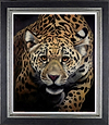 JAGUAR (Framed)