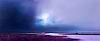 Magenta Headland