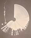 Large Brushstroke Cream