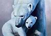Arctic Bond
