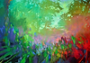 Light Dreamer