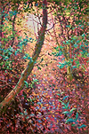 Morning Sun (booths wood)