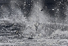 Blizzard H13-10