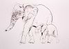Elephants II