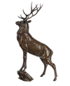 Monarch (Stag)