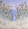 Bluebells on the Coast