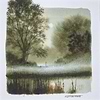 The Meadow (study)