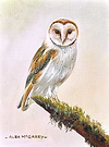 Ready to Fly III