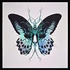 Noble