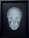 Crystal Skull (White on Black) (Framed)