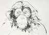 Chimp Study IV