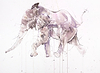 Running Elephant Study II