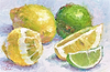 Lemons and Limes V