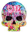 Butterfly Skull