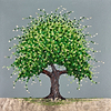 Emerald Breeze