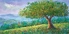 The Heart of the Forest V