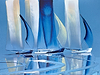 Sailing Serenity V
