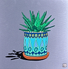 Succulent (turquoise pot)