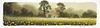Walking Through Buttercups (study)