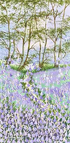 Woodland Escape IV