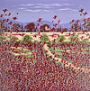 Perfect Poppies II