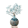 Amarsi Sempre