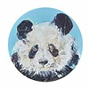 Panda Study