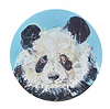 Panda Study