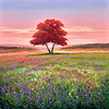 Amanecer II