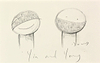 Yin and Yang Study