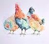 A Colourful Trio