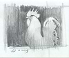 Rooster