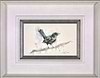 Male Blackbird (Framed)