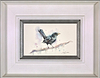 Male Blackbird (Framed)