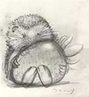 Sharing is Caring Strawberry (Sketch)