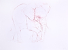 Young Elephant Sketch XIII