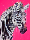 Grevy Zebra I