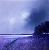 In View of The Lavender