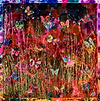 Butterfly Collective VI