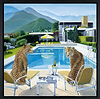 Palm Springs Style (Framed)