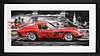 Life in the Fast Lane (Framed)