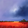 Distant Cottage