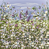 Tranquillity VI