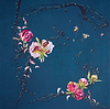 Blooms and Rhythms