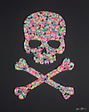 Skull and Crossbones